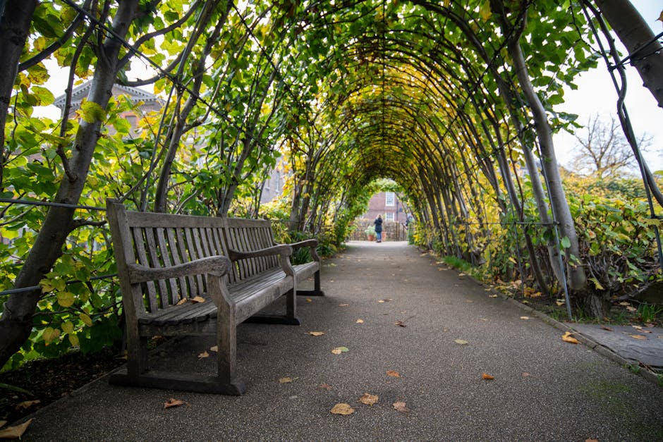 A paved pathway runs through a garden tunnel formed by arched metal supports covered with dense green and yellow foliage. On the left side of the path, there is a weathered wooden bench with a slatted seat and backrest, positioned facing inward towards the tunnel's interior. The pathway is lined with fallen leaves in shades of brown and yellow, scattered on the surface. In the background, a person dressed in dark clothing can be seen walking away from the camera, towards a residential building partially visible beyond the greenery. The natural light illuminates the scene, creating a serene atmosphere suitable for outdoor relaxation or informal waste collection—such as placing garden waste in designated containers—supported by local waste removal services like Waste Removal West Kensington. The environment emphasizes a well-maintained garden area that could be associated with private or community green spaces managed outside of council collection, aligning with the themes of alternate waste disposal methods in the Kensington and Chelsea area.